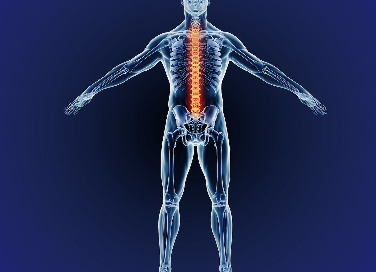 How I’m Building Strong Tendons And Bones For BJJ Durability