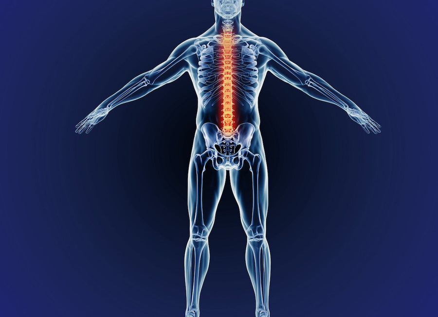 How I’m Building Strong Tendons And Bones For BJJ Durability