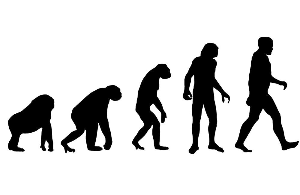 Dont Skip This Overlooked Primary Human Movement