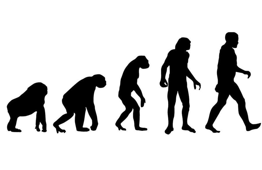 Dont Skip This Overlooked Primary Human Movement