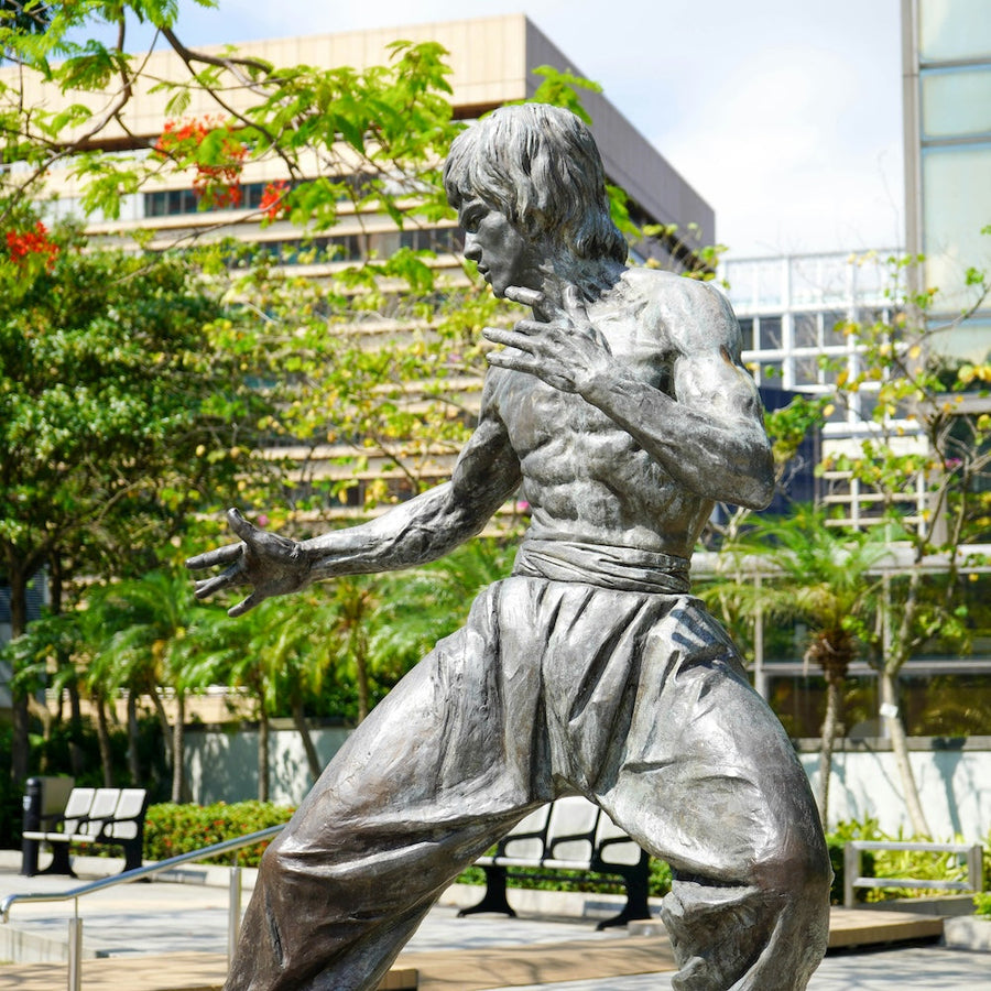 The Greatest Lesson Bruce Lee Ever Taught (And How To Apply It)