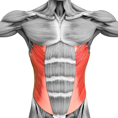 Develop This Core Muscle For Better BJJ Performance & Resilience
