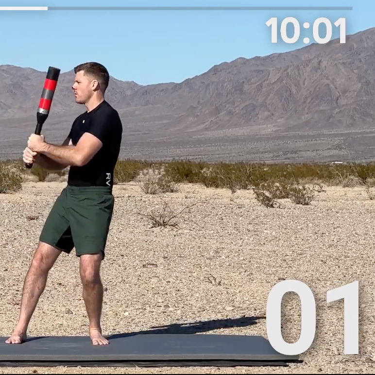 TIMER VIDEOS & PROGRAM PDF